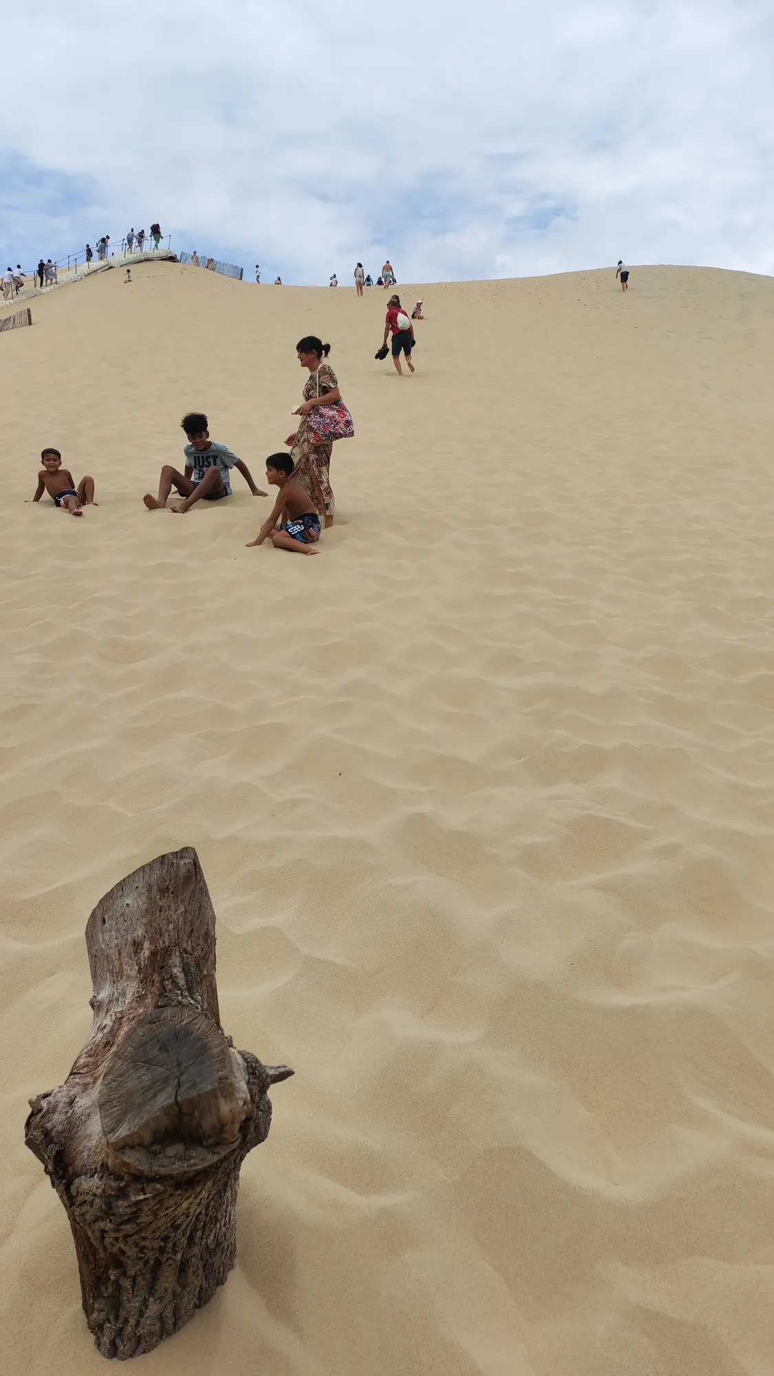 Il muro di sabbia della Dune du Pilat