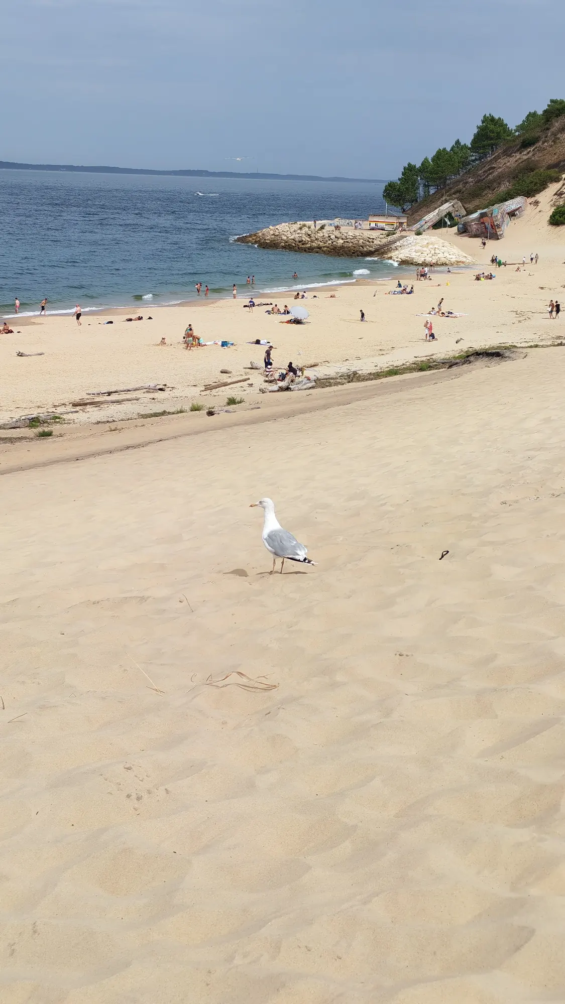 Passeggiata sulla riva dell'oceano sotto la Dune du Pilat
