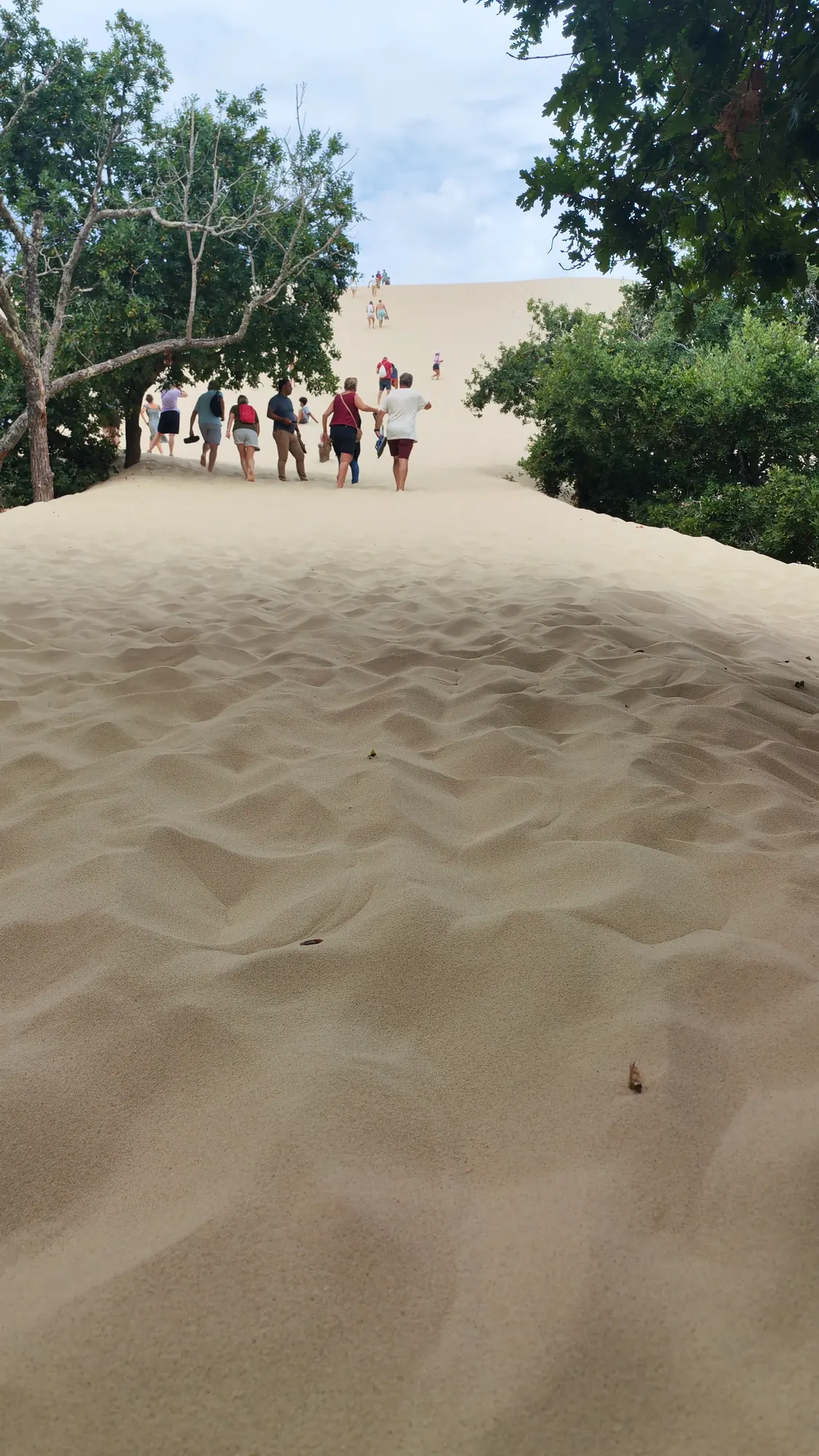 Sentiero nella vegetazione verso la Dune du Pilat