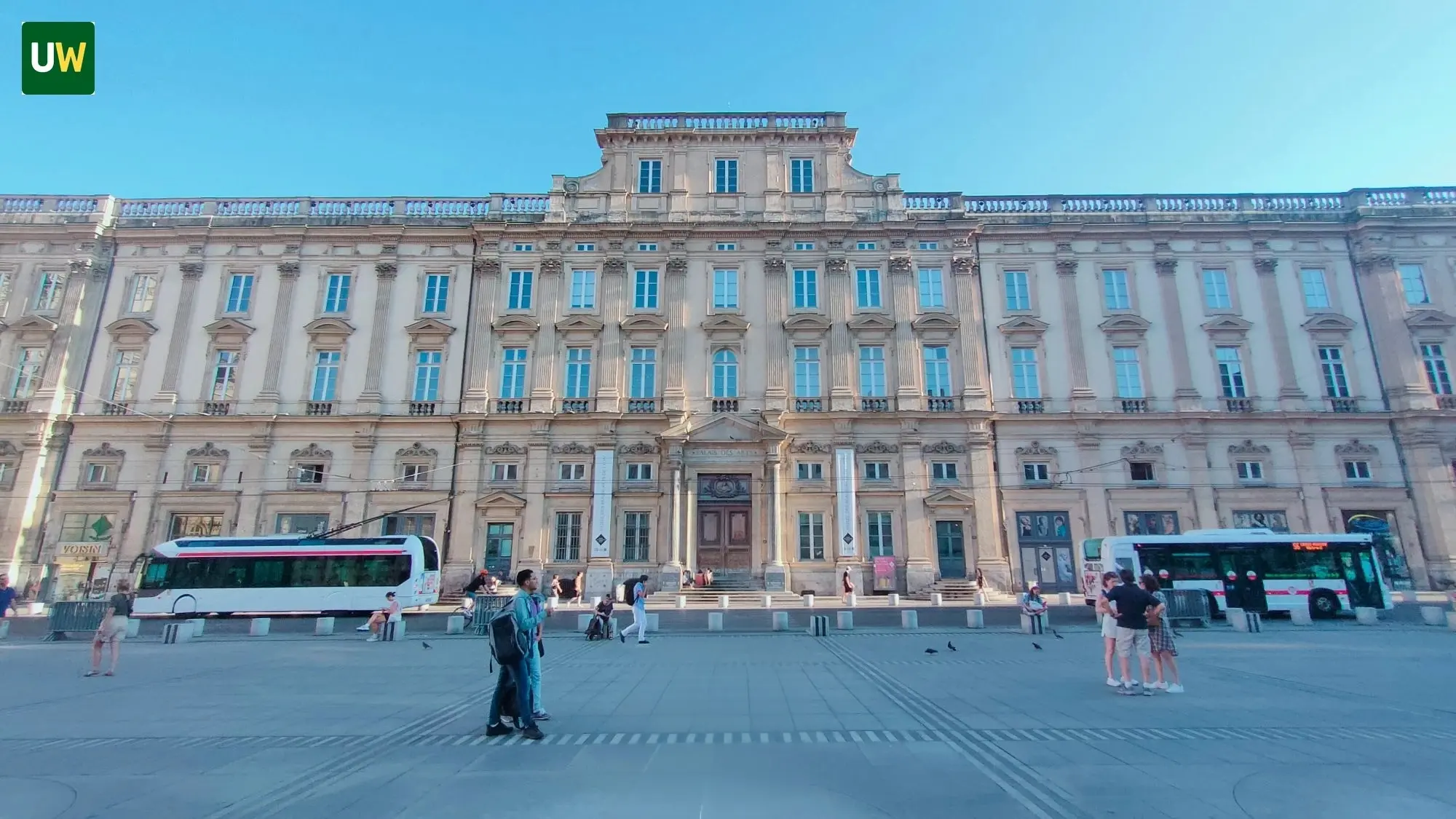 Museo delle Belle Arti